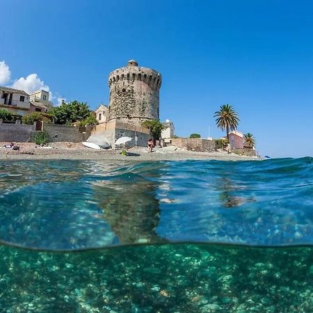 Agreable Studio Debut Cap Corse Proche Bastia San-Martino-di-Lota Exterior foto